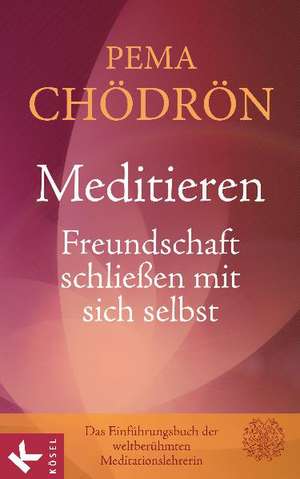 Meditieren - Freundschaft schließen mit sich selbst de Pema Chödrön