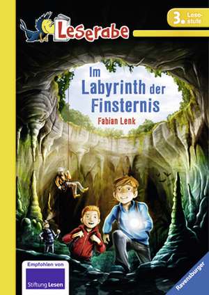 Im Labyrinth der Finsternis de Fabian Lenk