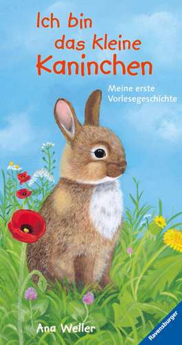 Ich bin das kleine Kaninchen: Meine erste Vorlesegeschichte de Hannelore Dierks