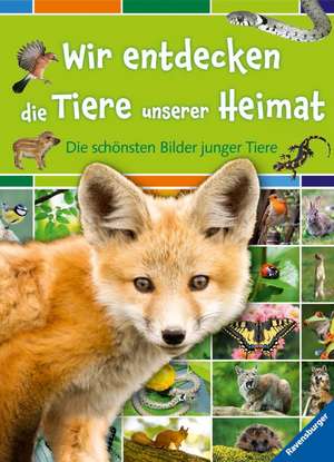 Wir entdecken die Tiere unserer Heimat de Colette Barbé-Julien