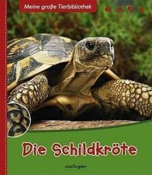 Starosta, P: Schildkröte