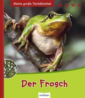 Der Frosch de Paul Starosta