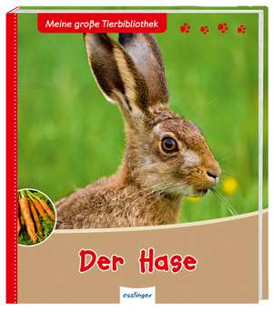 Der Hase de Jens Poschadel