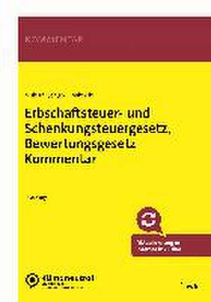 Erbschaftsteuer- und Schenkungsteuergesetz, Bewertungsgesetz Kommentar de Hermann-Ulrich Viskorf