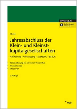 Jahresabschluss der Klein- und Kleinstkapitalgesellschaften de Carsten Theile