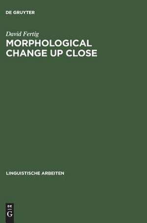 Morphological Change Up Close: Two and a Half Centuries of Verbal Inflection in Nuremberg de David Fertig