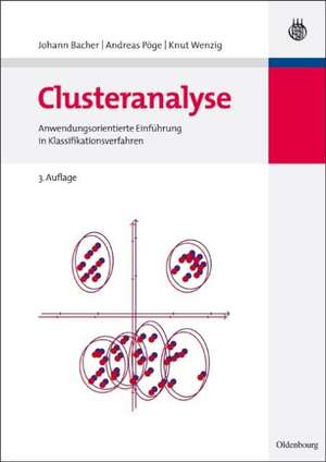 Clusteranalyse: Anwendungsorientierte Einführung in Klassifikationsverfahren de Johann Bacher