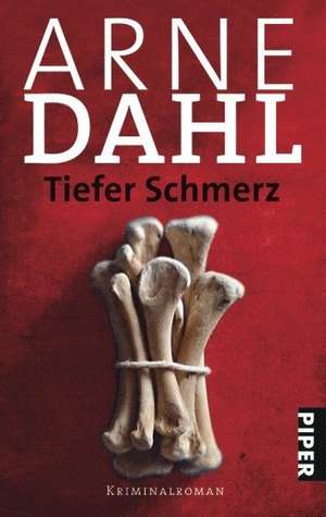 Tiefer Schmerz de Arne Dahl