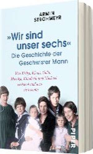 'Wir sind unser sechs' - Die Geschichte der Geschwister Mann de Armin Strohmeyr