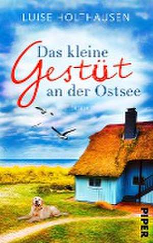 Das kleine Gestüt an der Ostsee de Luise Holthausen