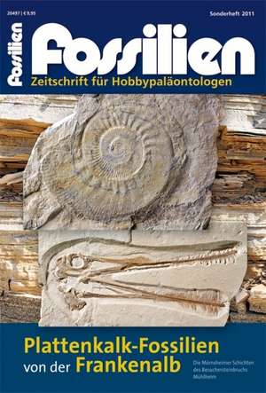 Plattenkalkfossilien von der Frankenalb de Alexander Heyng