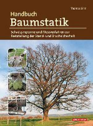 Handbuch Baumstatik de Thomas Sinn