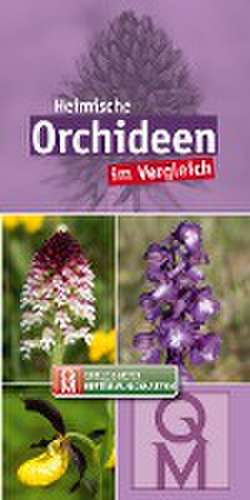 Heimische Orchideen im Vergleich - 10er-Set de Quelle & Meyer Verlag