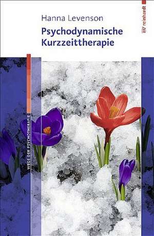 Psychodynamische Kurzzeittherapie de Hanna Levenson