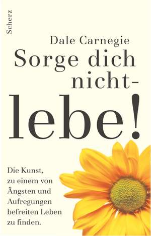 Sorge dich nicht, lebe! de Dale Carnegie