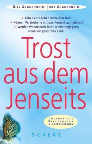 Trost aus dem Jenseits de Bill Guggenheim