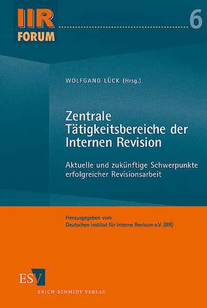 Zentrale Tätigkeitsbereiche der Internen Revision de Wolfgang Lück