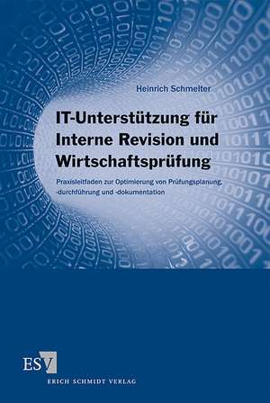 IT-Unterstützung für Interne Revision und Wirtschaftsprüfung de Heinrich Schmelter