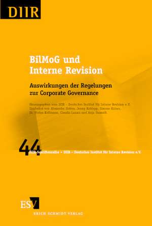 BilMoG und Interne Revision de Alexander Hofem