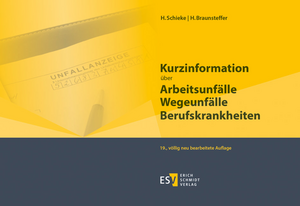 Kurzinformation über Arbeitsunfälle Wegeunfälle Berufskrankheiten de Heike Braunsteffer