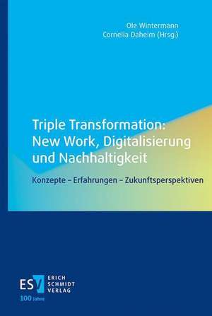 Triple Transformation: New Work, Digitalisierung und Nachhaltigkeit de Ole Wintermann