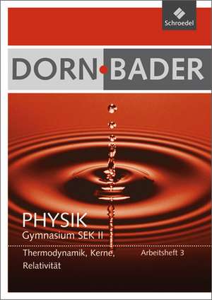 Dorn / Bader Physik 3. Arbeitsheft