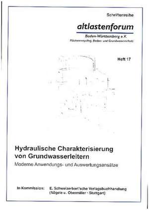 Hydraulische Charakterisierung von Grundwasserleitern de Carsten Leven