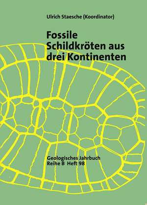 Fossile Schildkröten aus vier Ländern in drei Kontinenten: Deutschland, Türkei, Niger, Philippinen de Ulrich Staesche