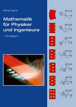 Mathematik für Physiker und Ingenieure de Michael Degner