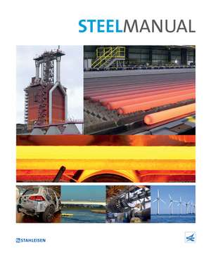 Steel Manual de Stahlinstitut VDEh