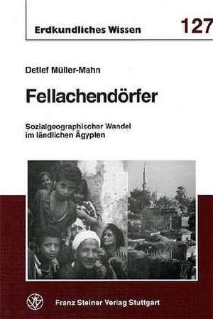 Fellachendörfer de Detlef Müller-Mahn