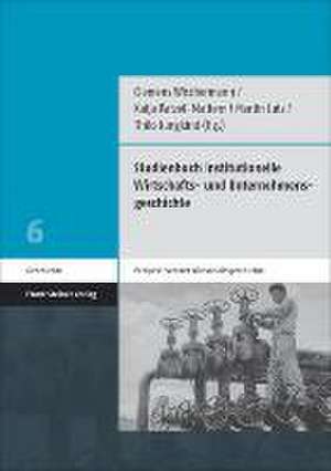 Studienbuch Institutionelle Wirtschafts- Und Unternehmensgeschichte: Essays Zur Perspektivierung Von Urteil Und Erfahrung de Clemens Wischermann