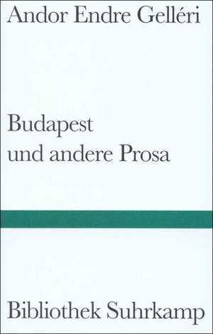 Budapest und andere Prosa de Andor Endre Gelleri