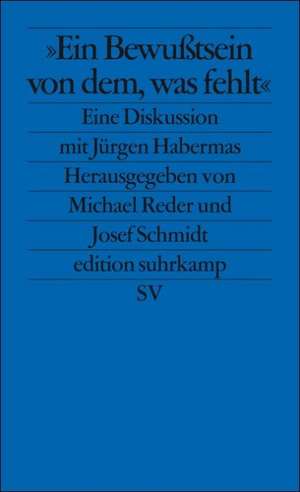 Ein Bewußtsein von dem, was fehlt de Michael Reder