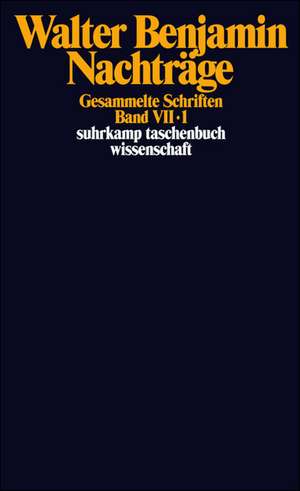 Gesammelte Schriften VII. Nachträge de Rolf Tiedemann