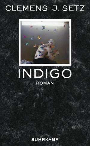 Indigo de Clemens J. Setz