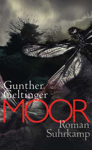 Moor de Gunther Geltinger