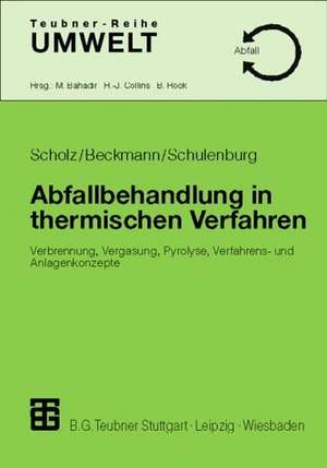 Abfallbehandlung in thermischen Verfahren: Verbrennung, Vergasung, Pyrolyse, Verfahrens- und Anlagenkonzepte de Reinhard Scholz