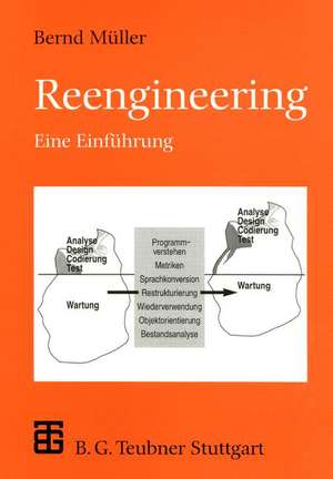 Reengineering: Eine Einführung de Bernd Müller