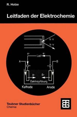 Leitfaden der Elektrochemie de Rudolf Holze