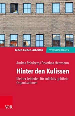 Hinter den Kulissen - kleiner Leitfaden für kollektiv geführte Organisationen de Andrea Rohrberg