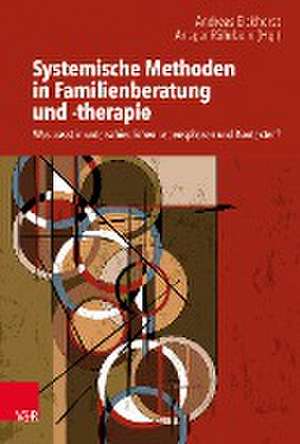 Systemische Methoden in Familienberatung und -therapie de Andreas Eickhorst