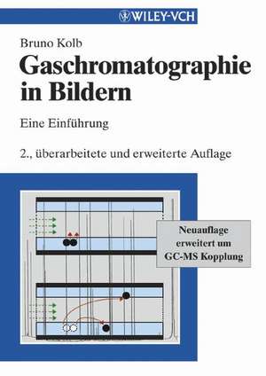 Gaschromatographie in Bildern 2a de B Kolb