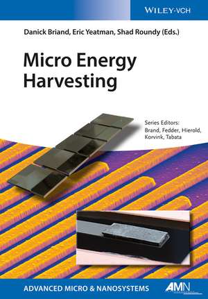 Micro Energy Harvesting de D Briand