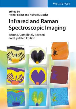 Infrared and Raman Spectroscopic Imaging 2e de R Salzer