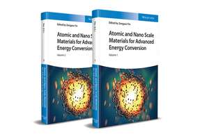 Atomic and Nano Scale Materials for Advanced Energy Conversion de Z Yin