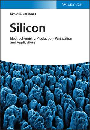 Silicon – Electrochemistry, Production, Purification and Applications de E Juzeliunas