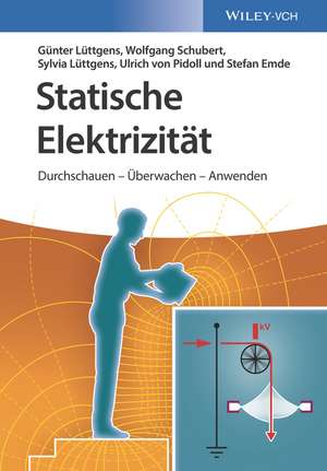 Statische Elektrizität –Durchschauen – Überwachen – Anwenden de G Lüttgens