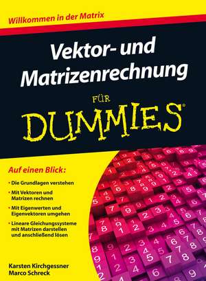 Vektor– und Matrizenrechnung für Dummies de K Kirchgessner