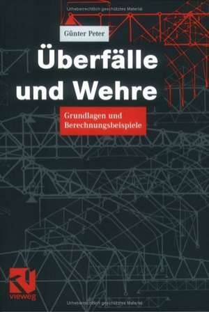 Überfälle und Wehre: Grundlagen und Berechnungsbeispiele de Günter Peter